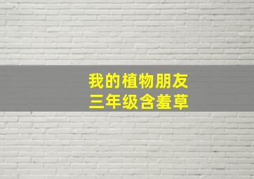 我的植物朋友 三年级含羞草